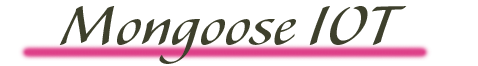 Mongoose Iot